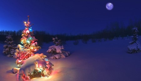 Merry Christmas and a Happy New Year
